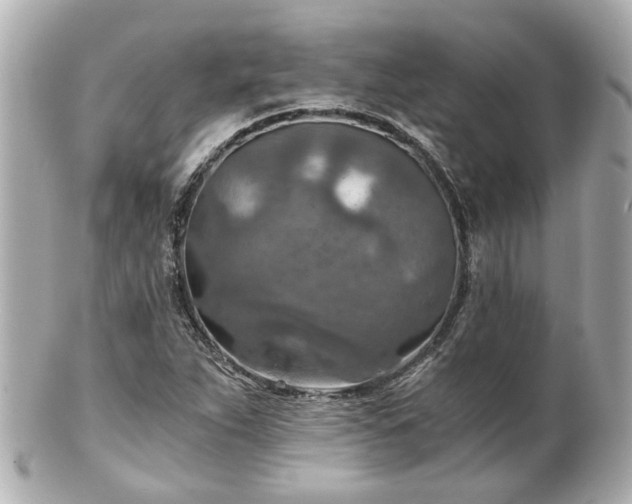 X0000100901263200807011212