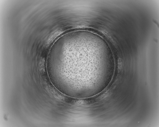 X0000100901265200807011212