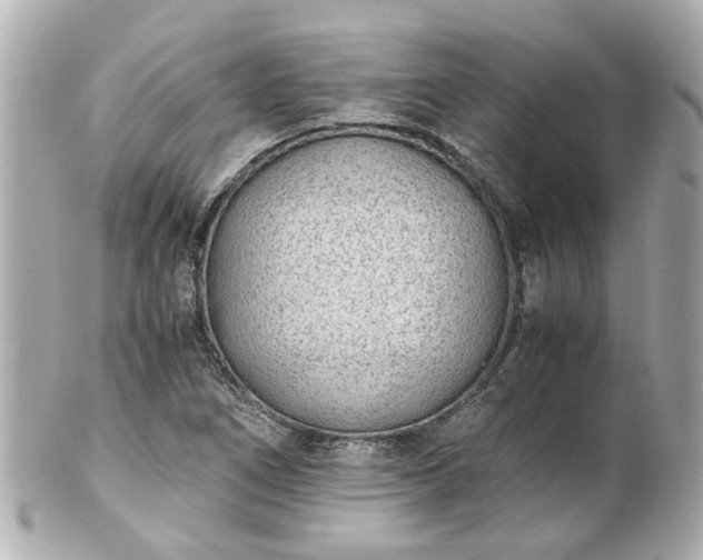 X0000100901266200807011212