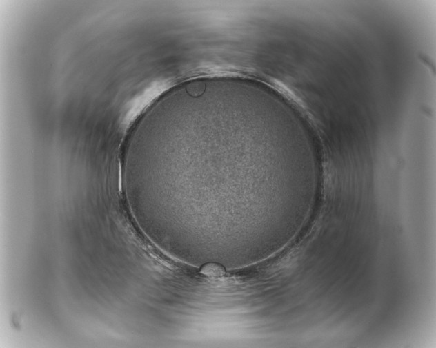 X0000100901269200807011212