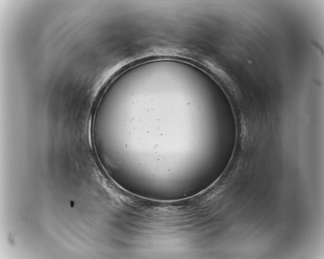X0000100901272200807011212