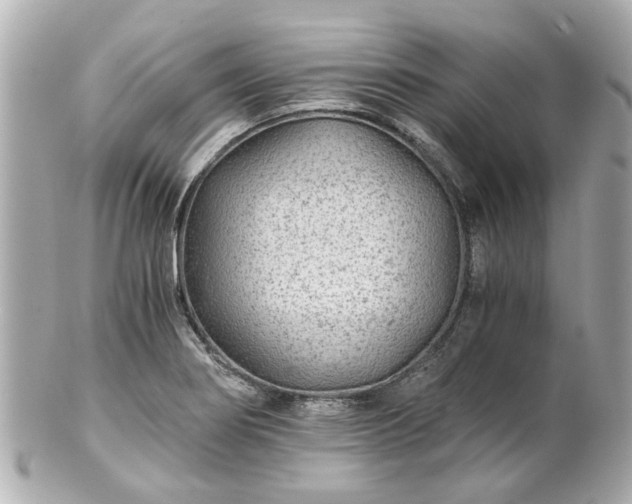X0000100901274200807011212