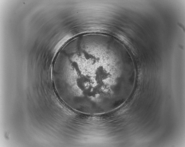 X0000100901275200807011212