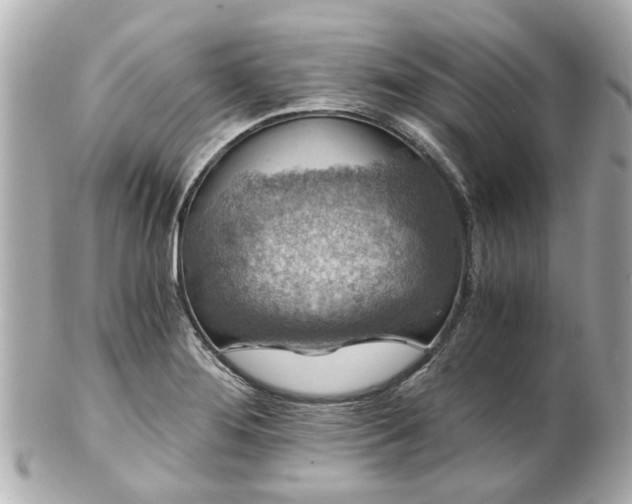 X0000100901276200807011212