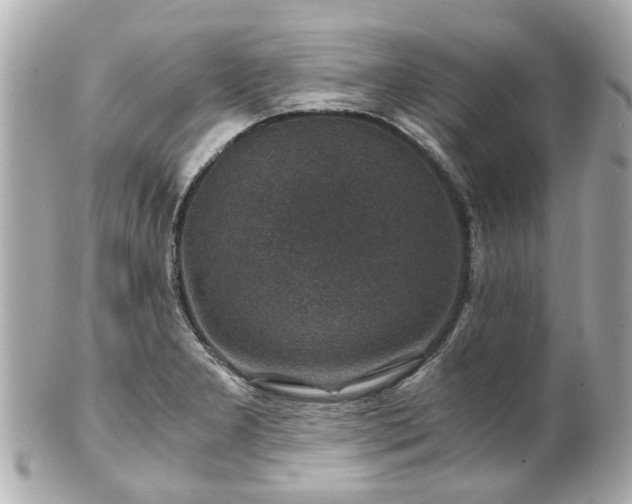 X0000100901277200807011212