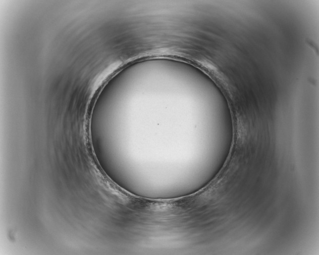X0000100901278200807011212