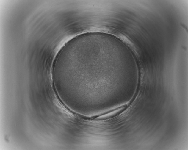 X0000100901280200807011212