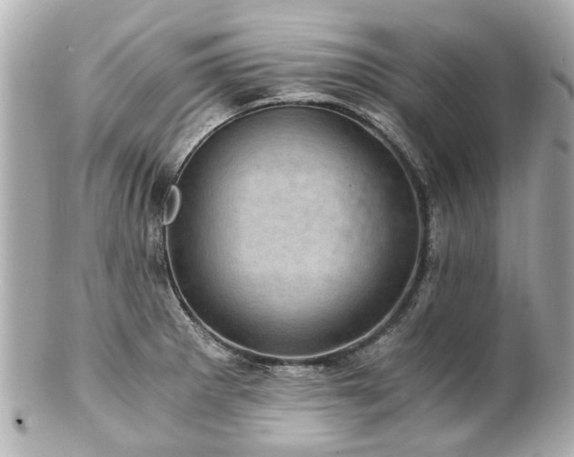 X0000100901281200807011212