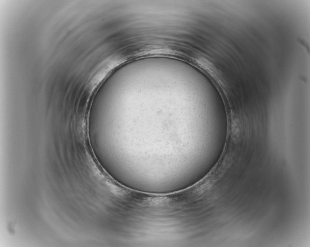 X0000100901282200807011212