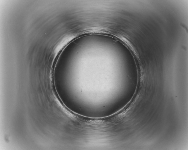 X0000100901285200807011212