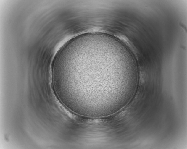 X0000100901286200807011212