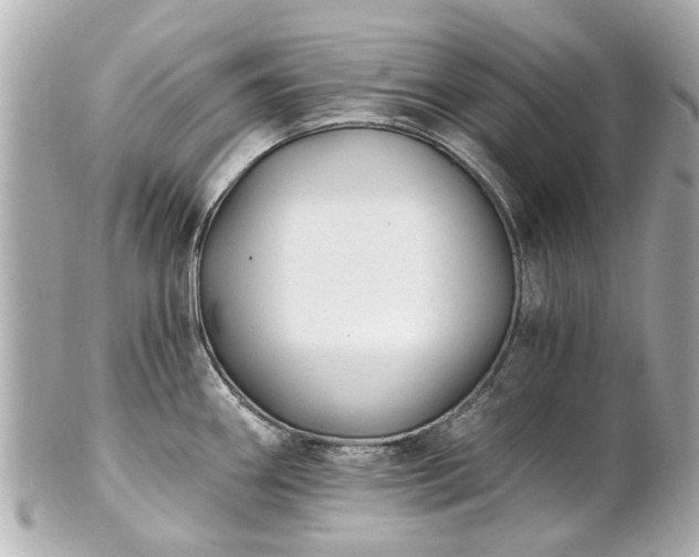 X0000100901290200807011211