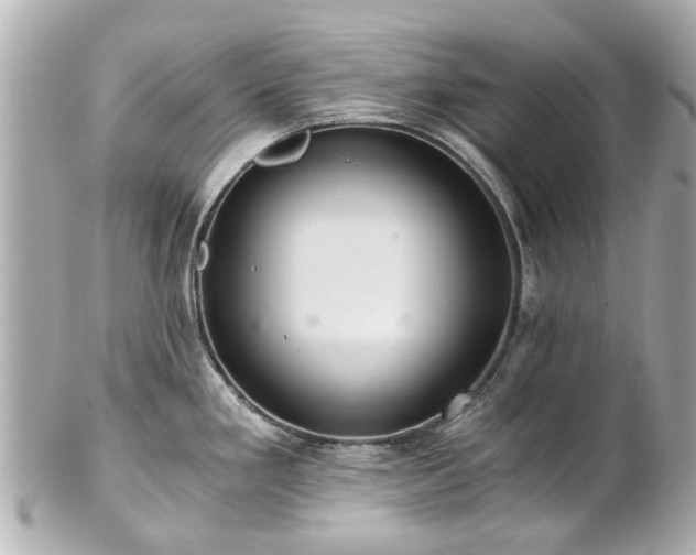 X0000100901293200807011211