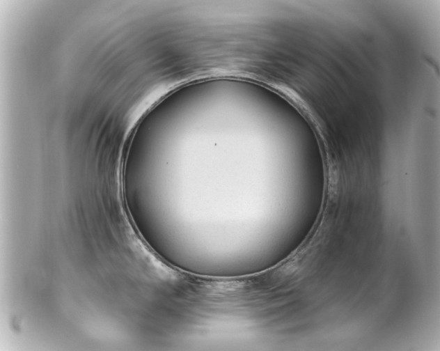 X0000100901294200807011211
