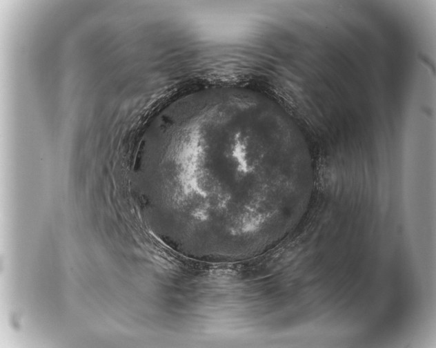 X0000100901297200807011211