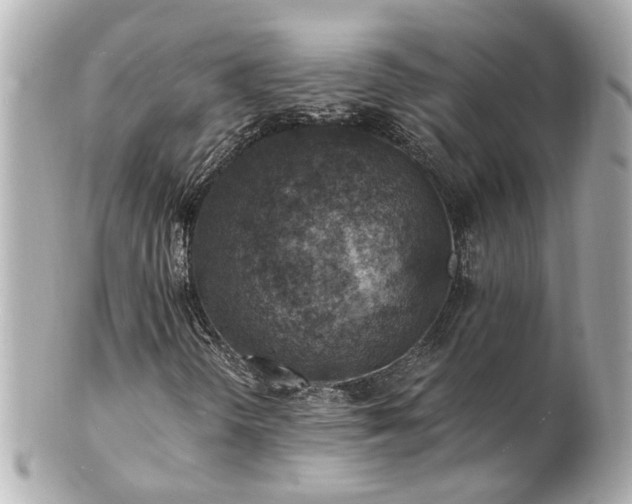 X0000100901298200807011211