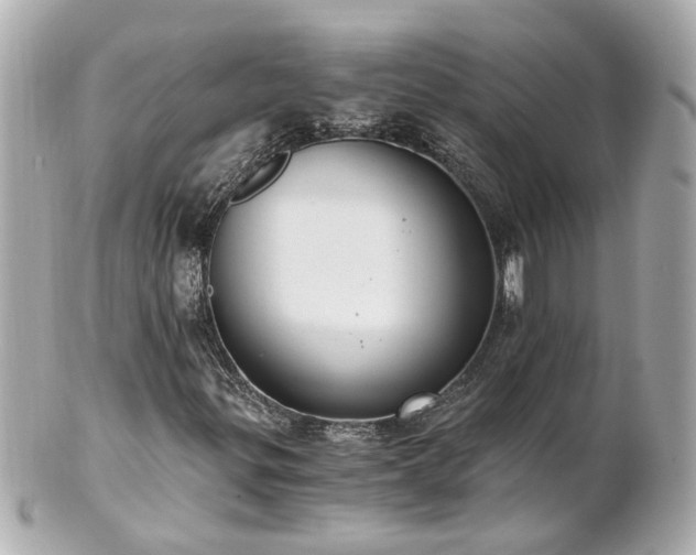 X0000100901299200807011211