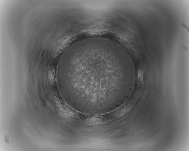 X0000100901300200807011211