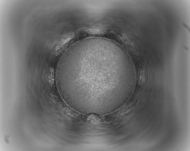 X0000100901301200807011211