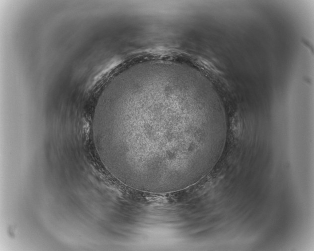 X0000100901302200807011211