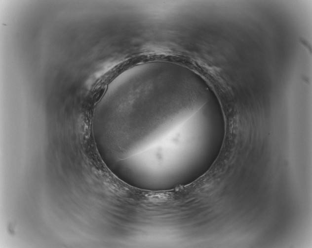 X0000100901303200807011211