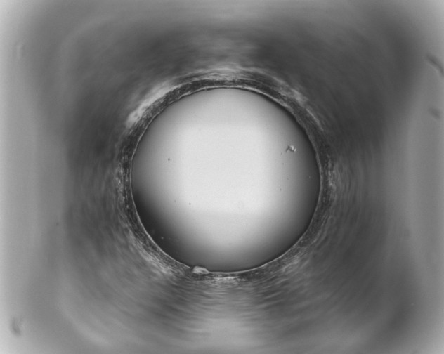 X0000100901304200807011211