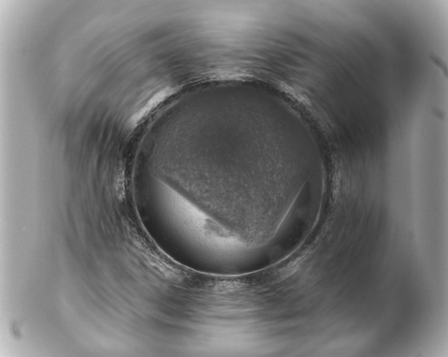X0000100901306200807011211