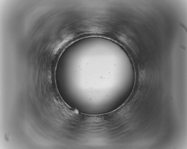 X0000100901307200807011211