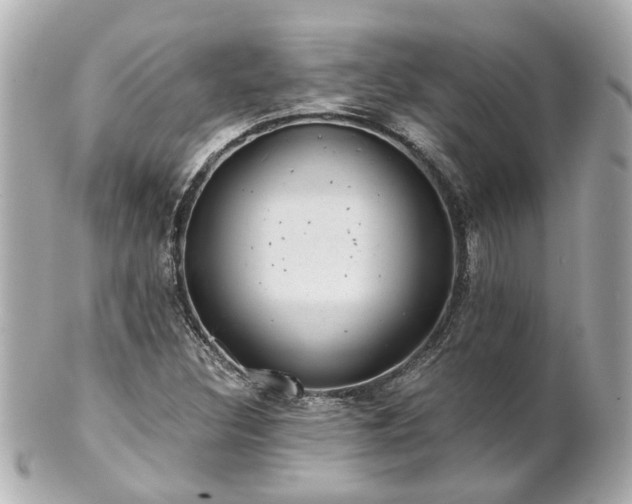 X0000100901308200807011211