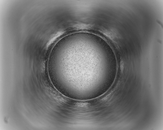 X0000100901309200807011211