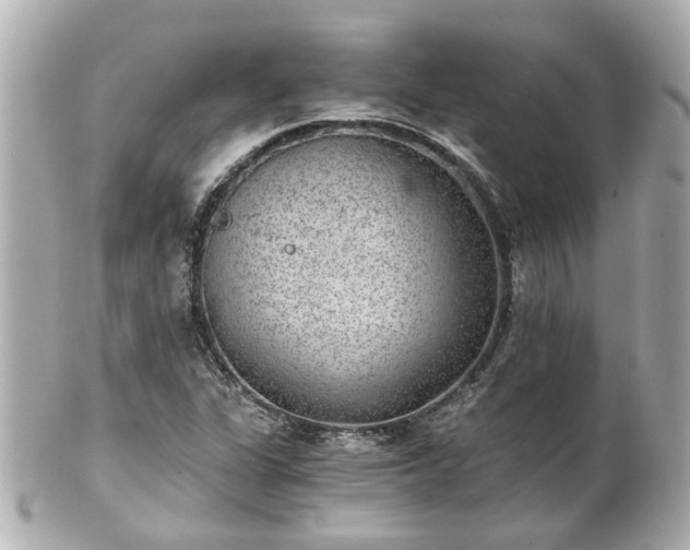 X0000100901311200807011211