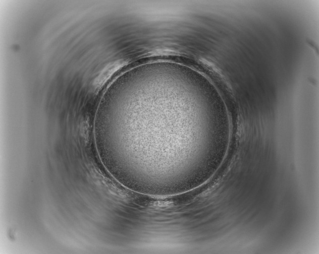 X0000100901313200807011211