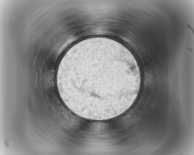 X0000100901314200807011211