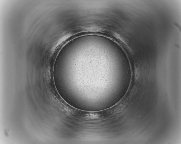 X0000100901315200807011211