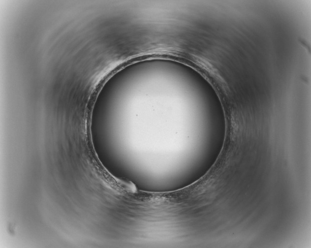 X0000100901316200807011211