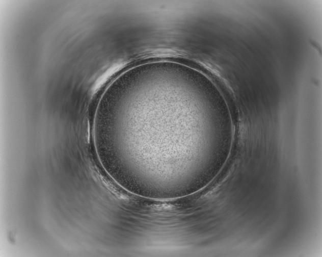 X0000100901317200807011211