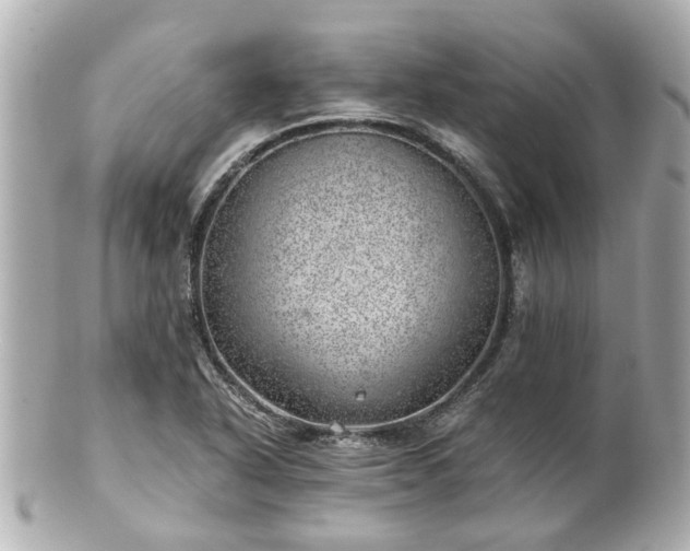X0000100901318200807011211