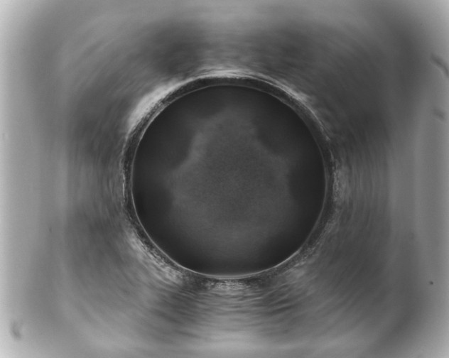 X0000100901319200807011211