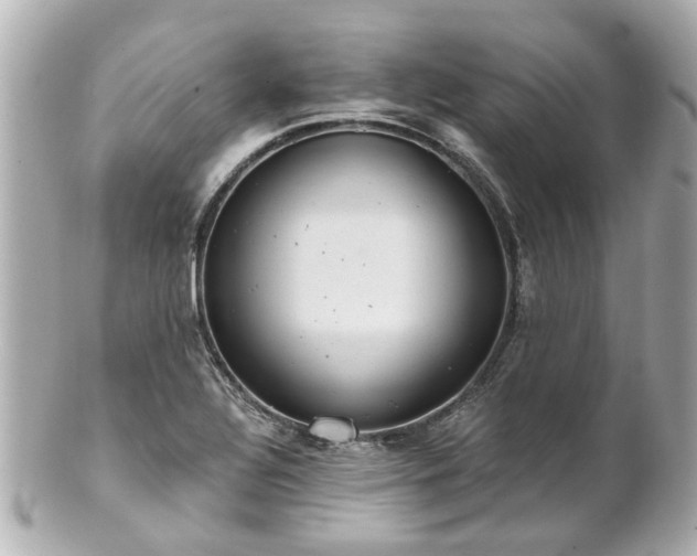 X0000100901320200807011211