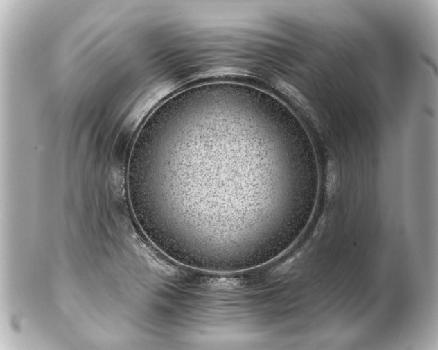 X0000100901321200807011211