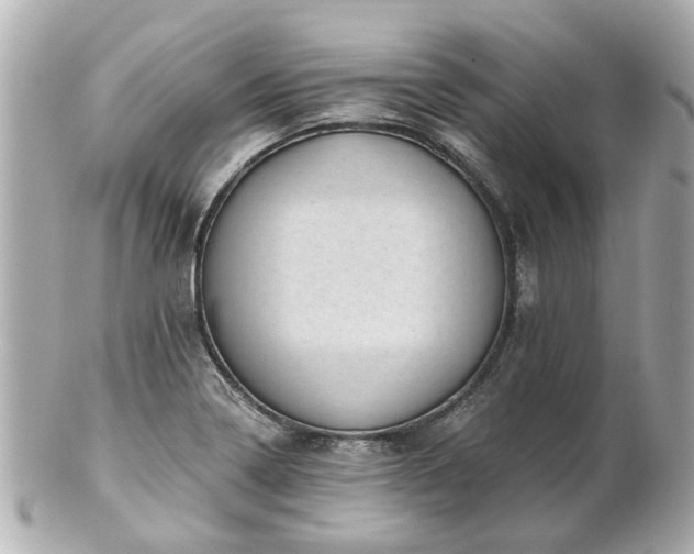 X0000100901322200807011211