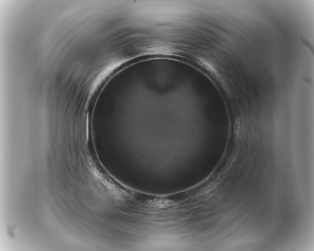 X0000100901323200807011211