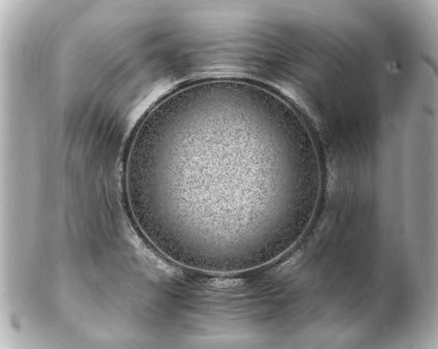 X0000100901325200807011211