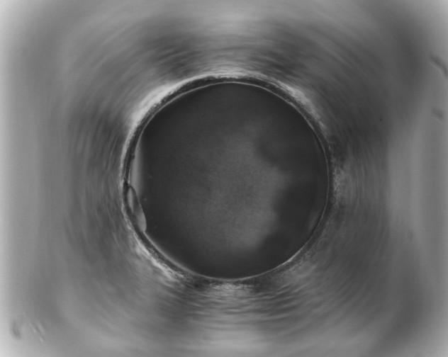 X0000100901327200807011211