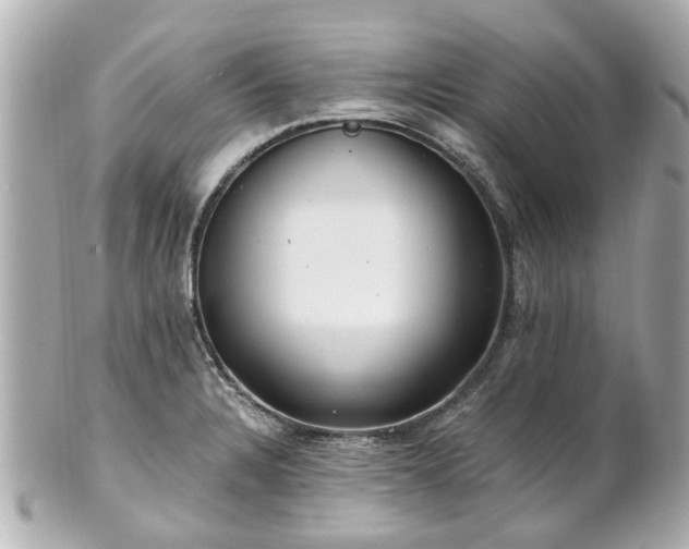 X0000100901328200807011211