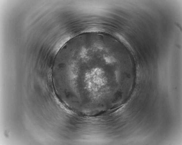 X0000100901329200807011211