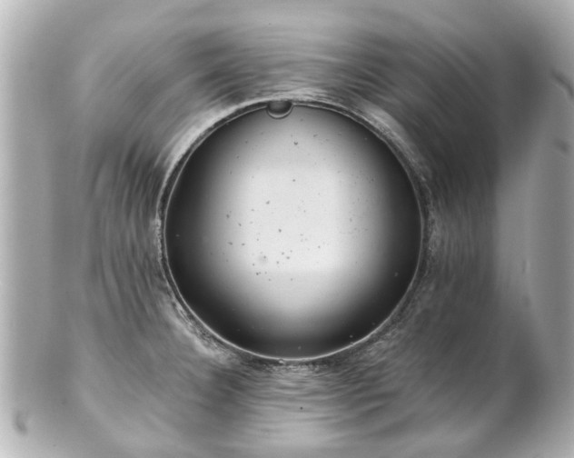 X0000100901332200807011211