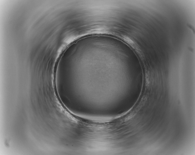 X0000100901334200807011211