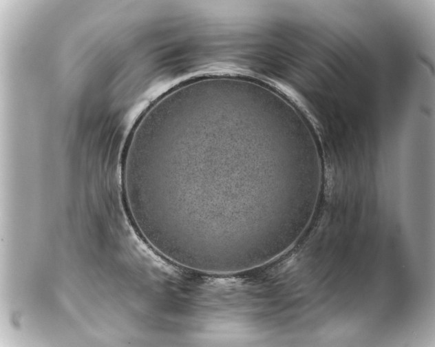 X0000100901335200807011211
