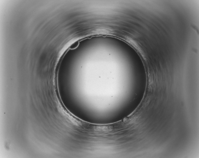 X0000100901339200807011211